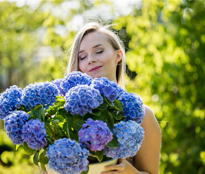 Frau mit blauer Hortensie (GS589395.jpg)