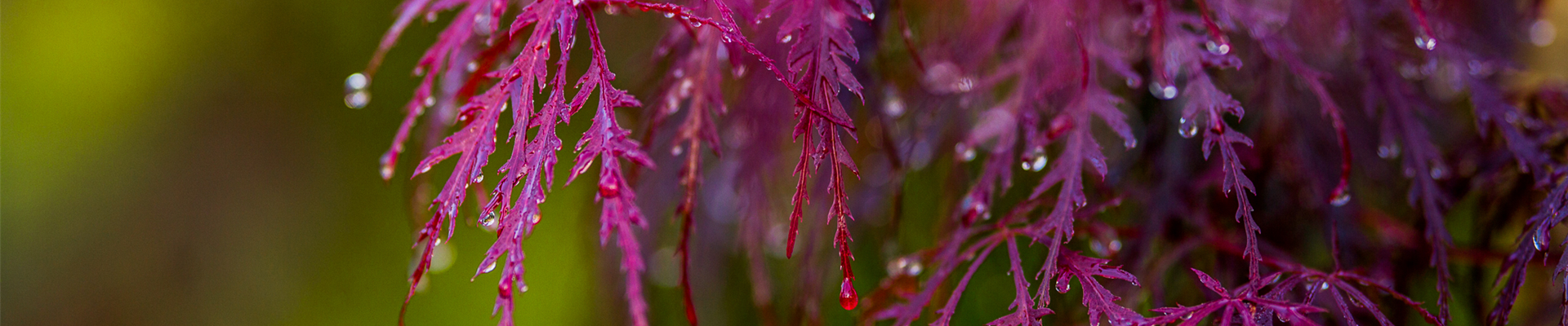 Gartenfachmarkt-148-web
