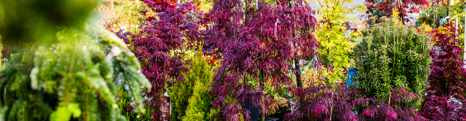 Gartenfachmarkt-155-web