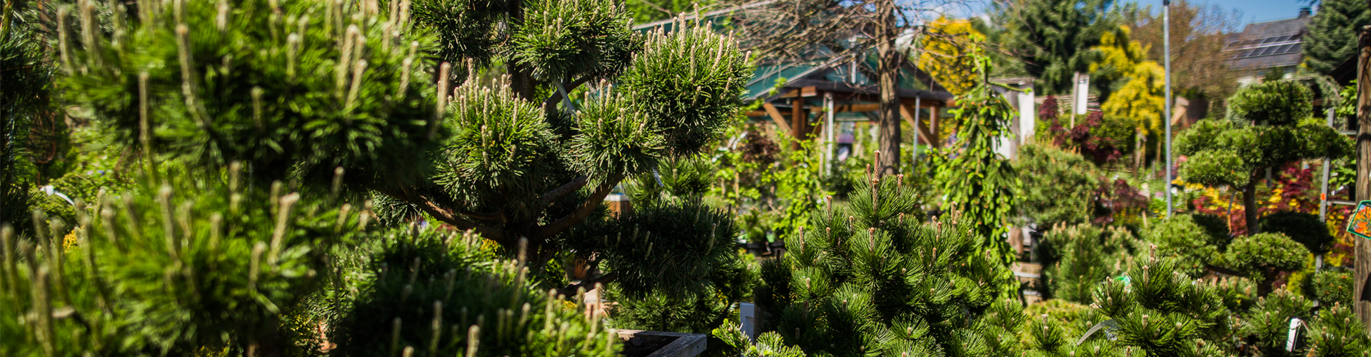 Gartenfachmarkt-95-web