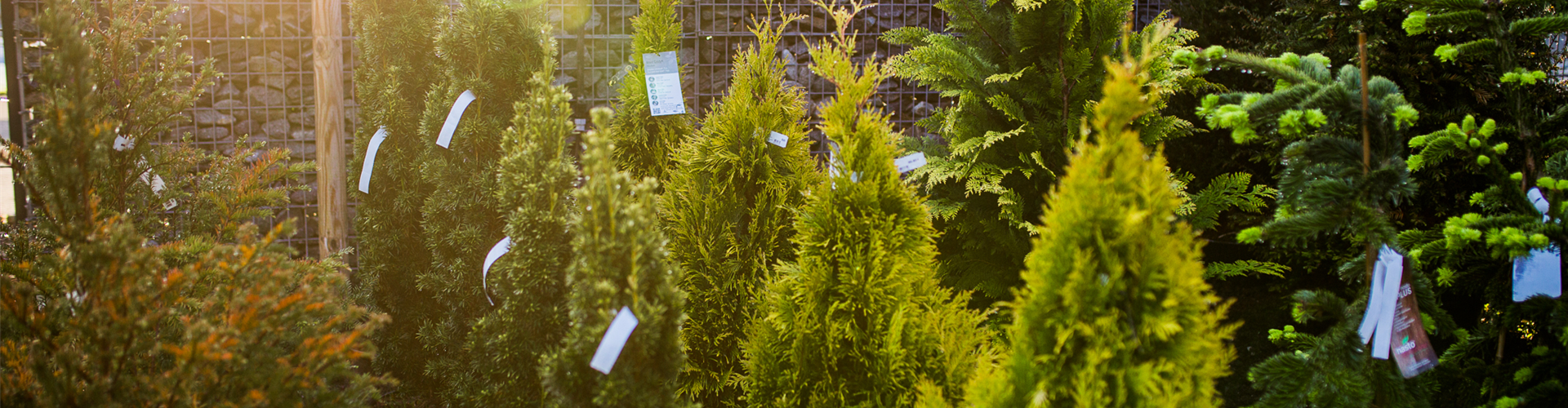 Gartenfachmarkt-161-web