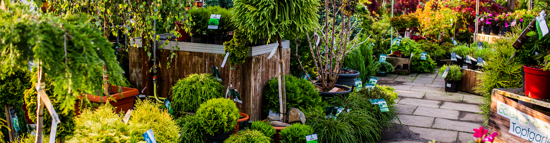 Gartenfachmarkt-126-web