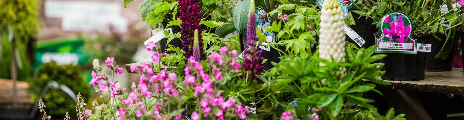 Gartenfachmarkt-235-web